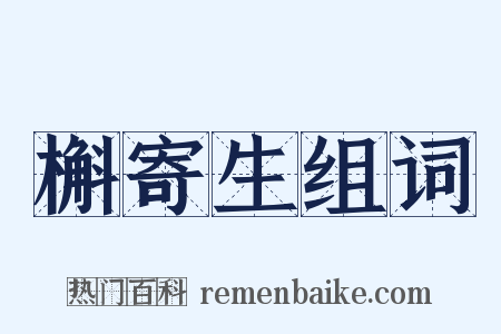 槲寄生组词是什么意思的图片